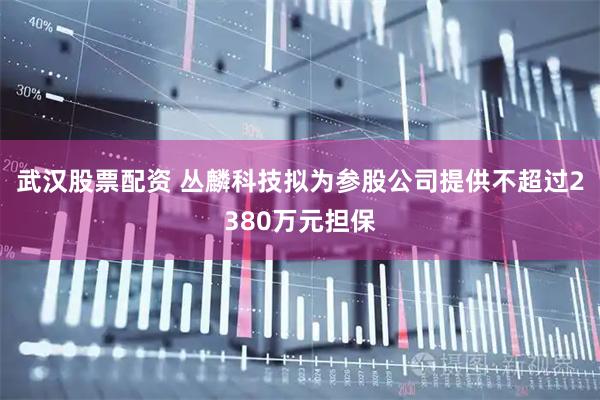 武汉股票配资 丛麟科技拟为参股公司提供不超过2380万元担保
