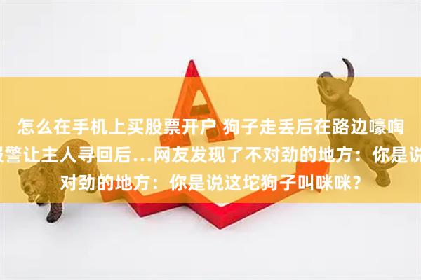 怎么在手机上买股票开户 狗子走丢后在路边嚎啕大哭,热心网友报警让主人寻回后…网友发现了不对劲的地方:你是说这坨狗子叫咪咪?