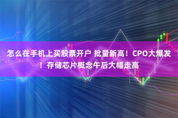 怎么在手机上买股票开户 批量新高！CPO大爆发！存储芯片概念午后大幅走高