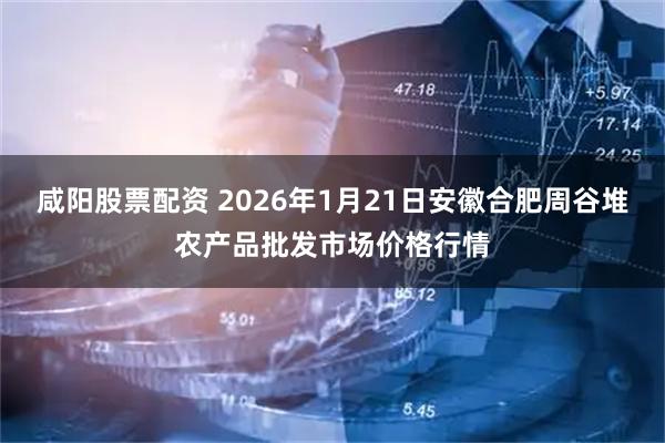 咸阳股票配资 2026年1月21日安徽合肥周谷堆农产品批发市场价格行情