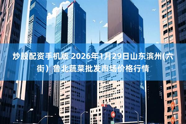 炒股配资手机版 2026年1月29日山东滨州(六街）鲁北蔬菜批发市场价格行情