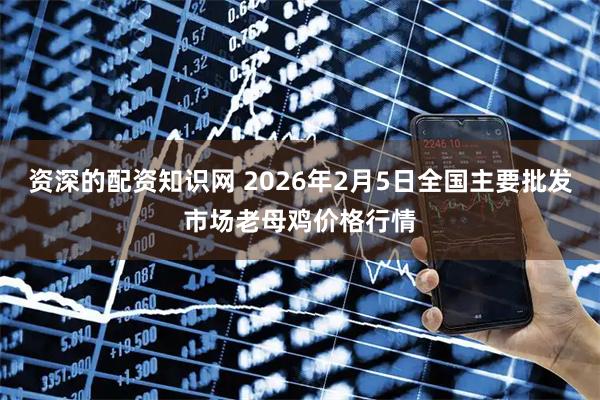 资深的配资知识网 2026年2月5日全国主要批发市场老母鸡价格行情