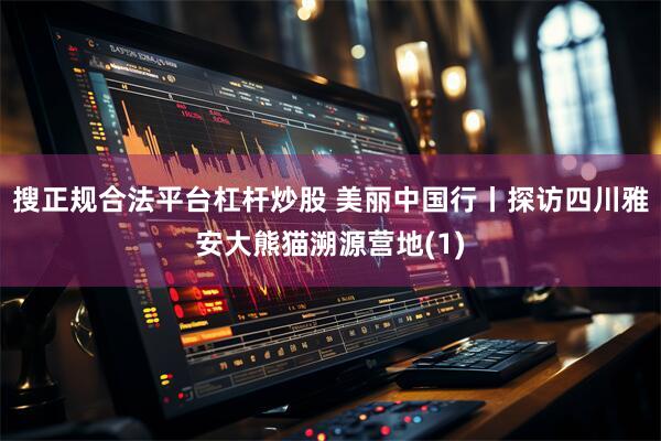 搜正规合法平台杠杆炒股 美丽中国行丨探访四川雅安大熊猫溯源营地(1)