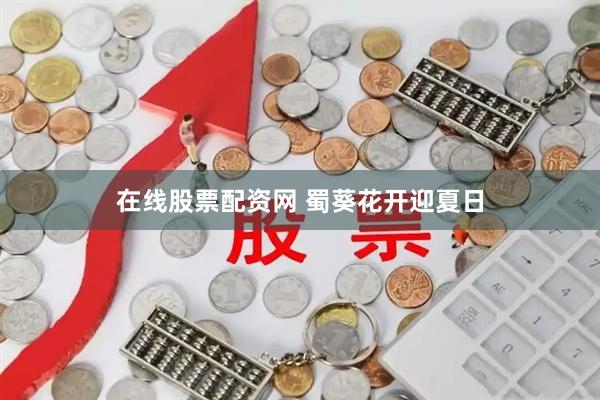 在线股票配资网 蜀葵花开迎夏日